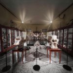 Sezione di anatomia comparata